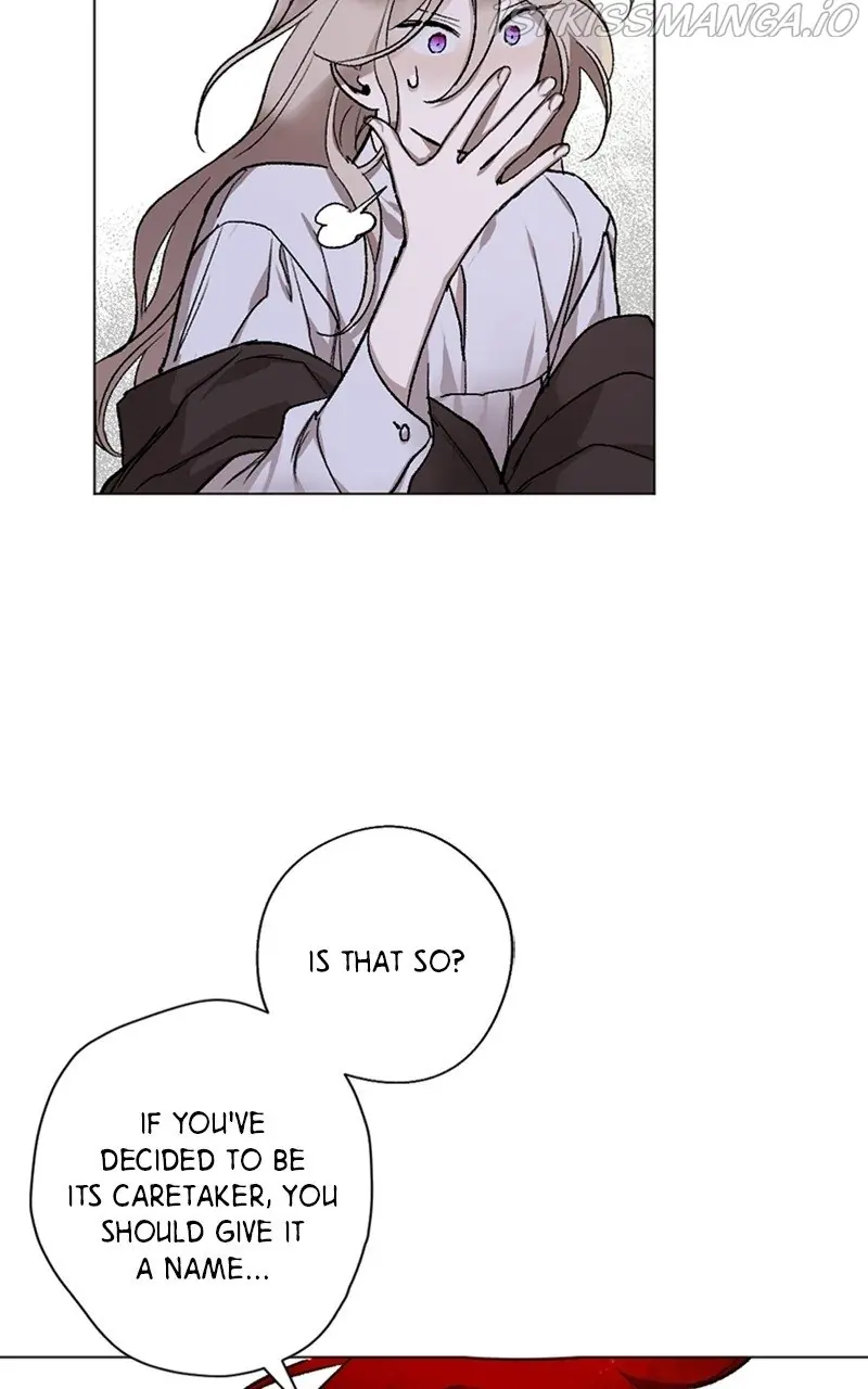 The Dark Lord's Confession Chapter 11 Page 14