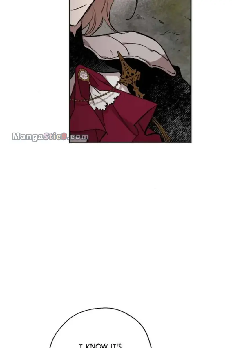 The Dark Lord's Confession Chapter 43 Page 215