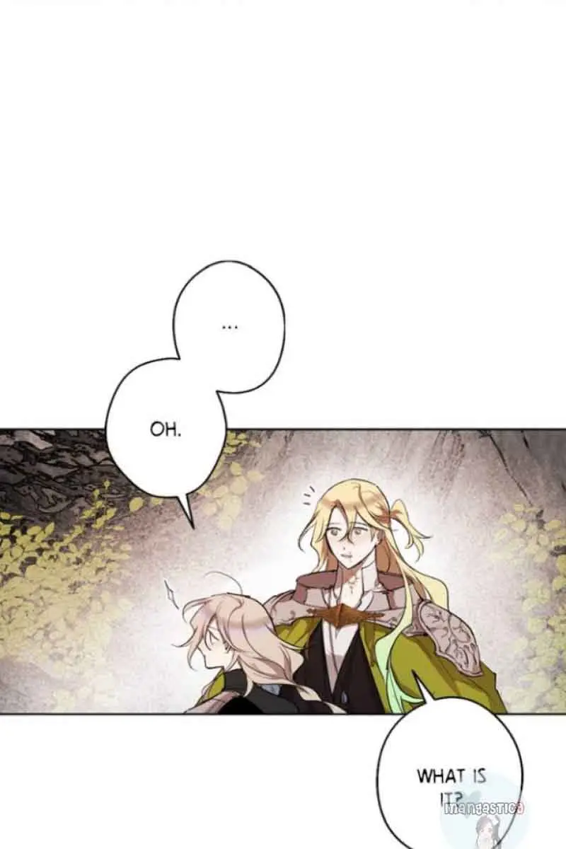 The Dark Lord's Confession Chapter 45 Page 5