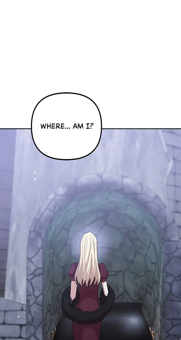 The Esteemed Lady of the Tea Garden Chapter 50 Page 12