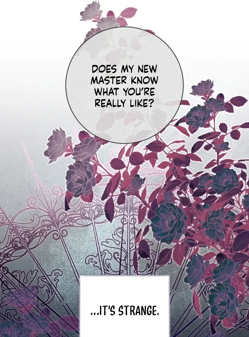 The Extra Wants to Escape from the Obsessive Male Lead Chapter 30 Page 40
