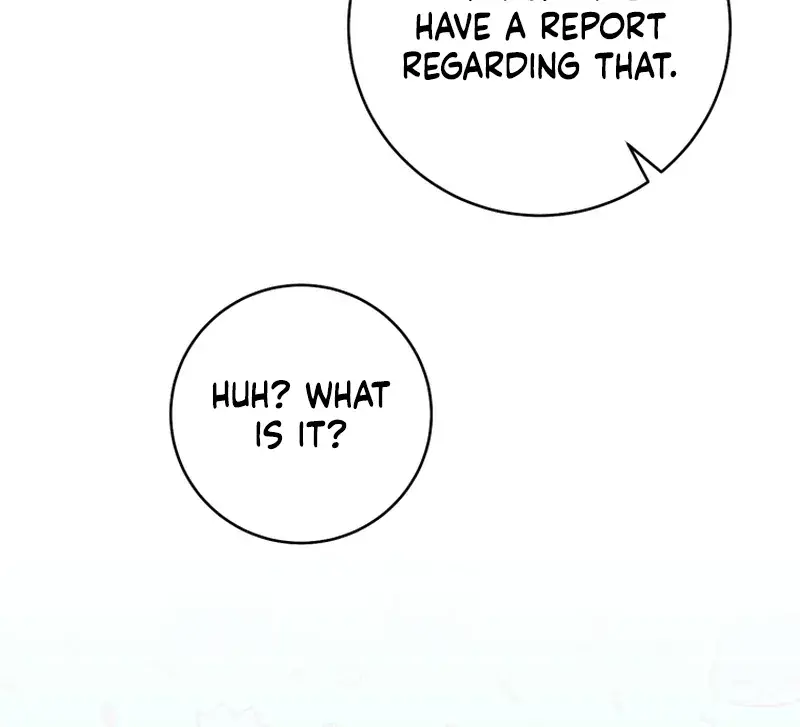 The Extra Wants to Escape from the Obsessive Male Lead Chapter 31 Page 9