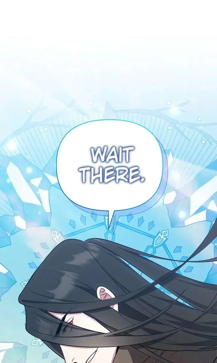 The Fake Master Who Accidentally Became the Strongest Chapter 40 Page 69