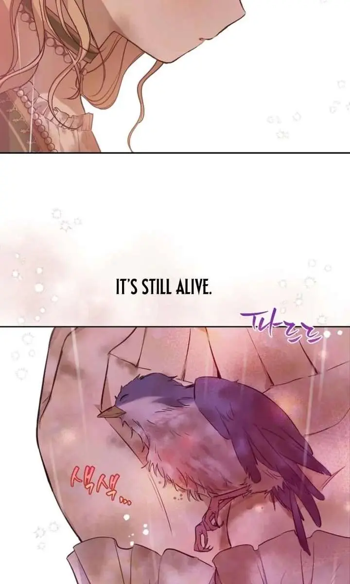 The Forgotten Field Chapter 3 Page 36