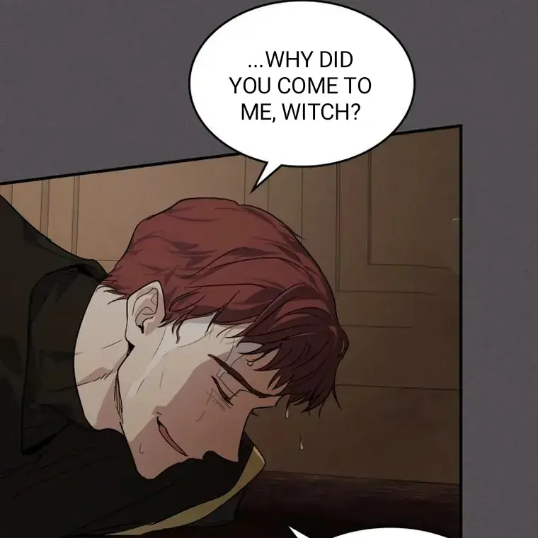 The Lady and the Beast Chapter 132 Page 21