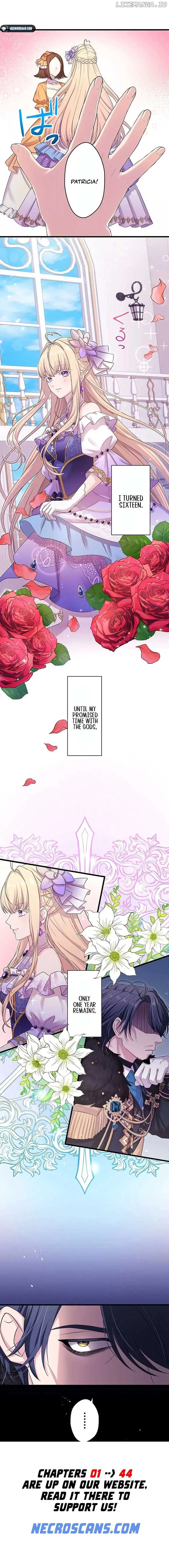 The Legendary Assassin Reincarnated as the Beloved Youngest Daughter of a Royal Family Chapter 37 Page 14