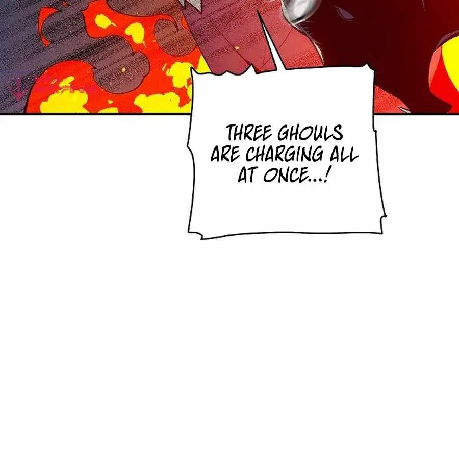 The Lone Necromancer Chapter 73 Page 47