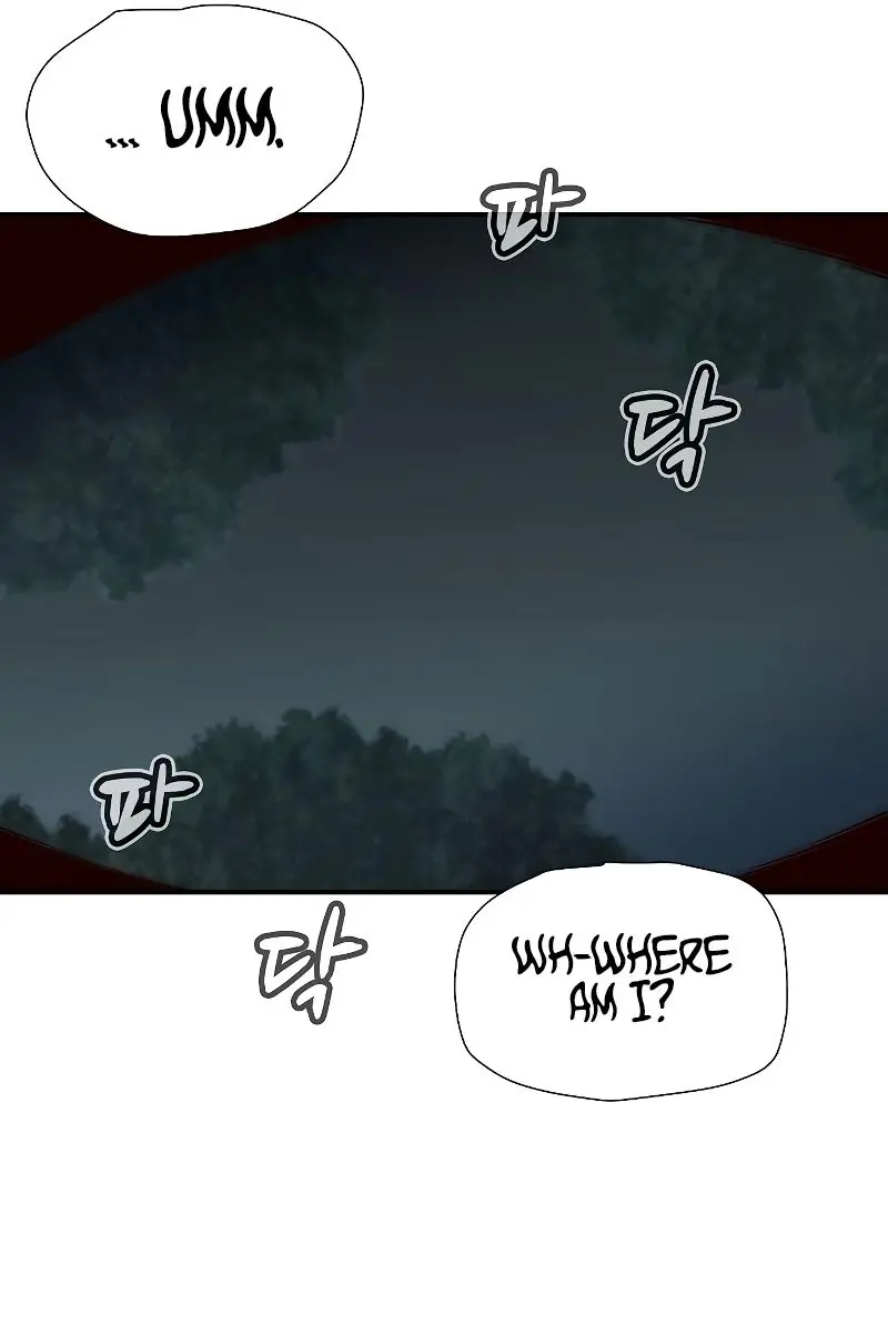 The Lone Necromancer Chapter 76 Page 117