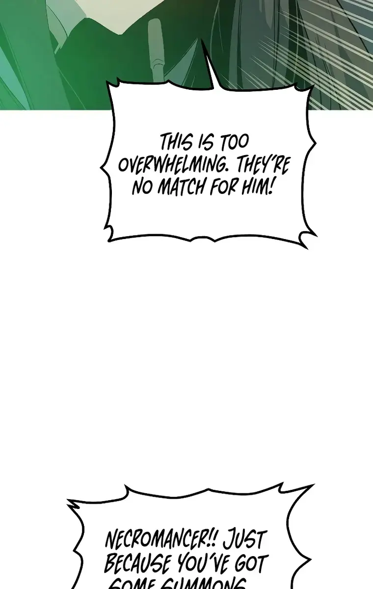 The Lone Necromancer Chapter 118 Page 163
