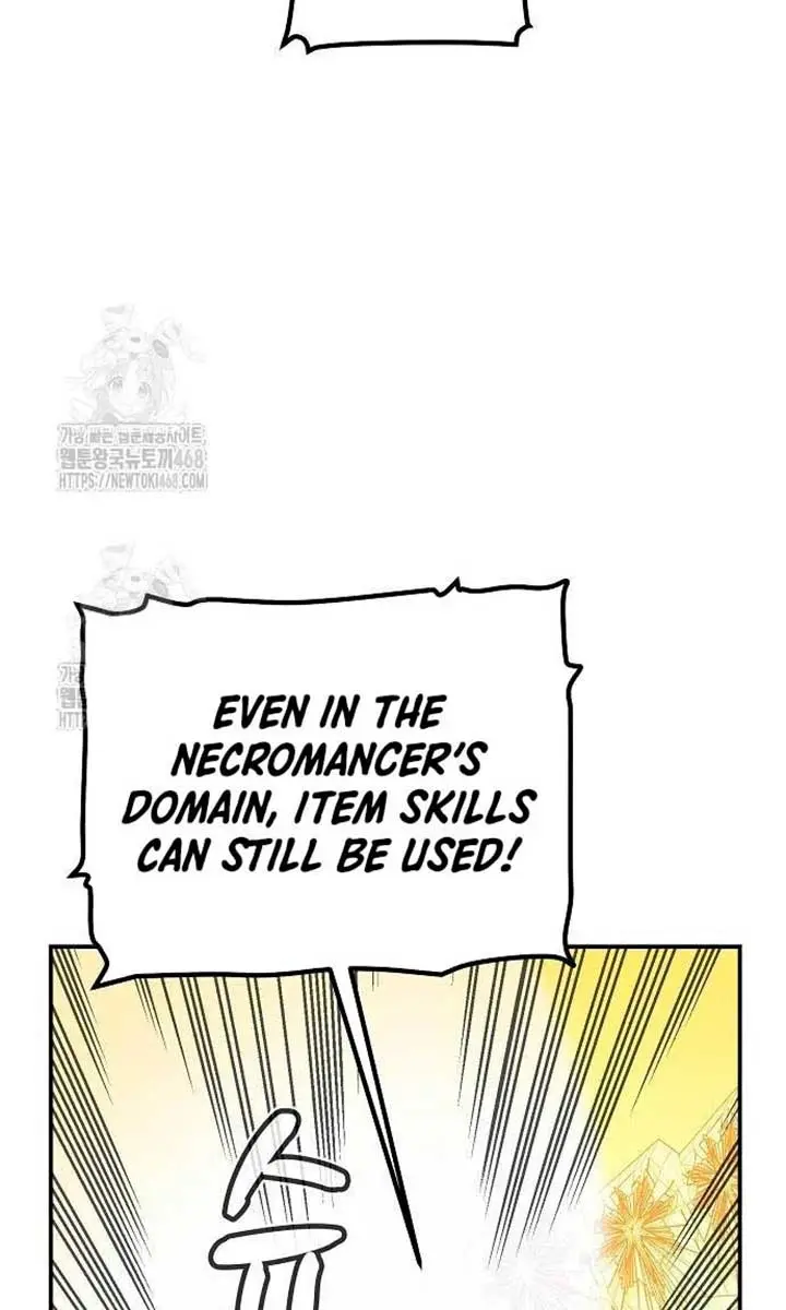 The Lone Necromancer Chapter 187 Page 112