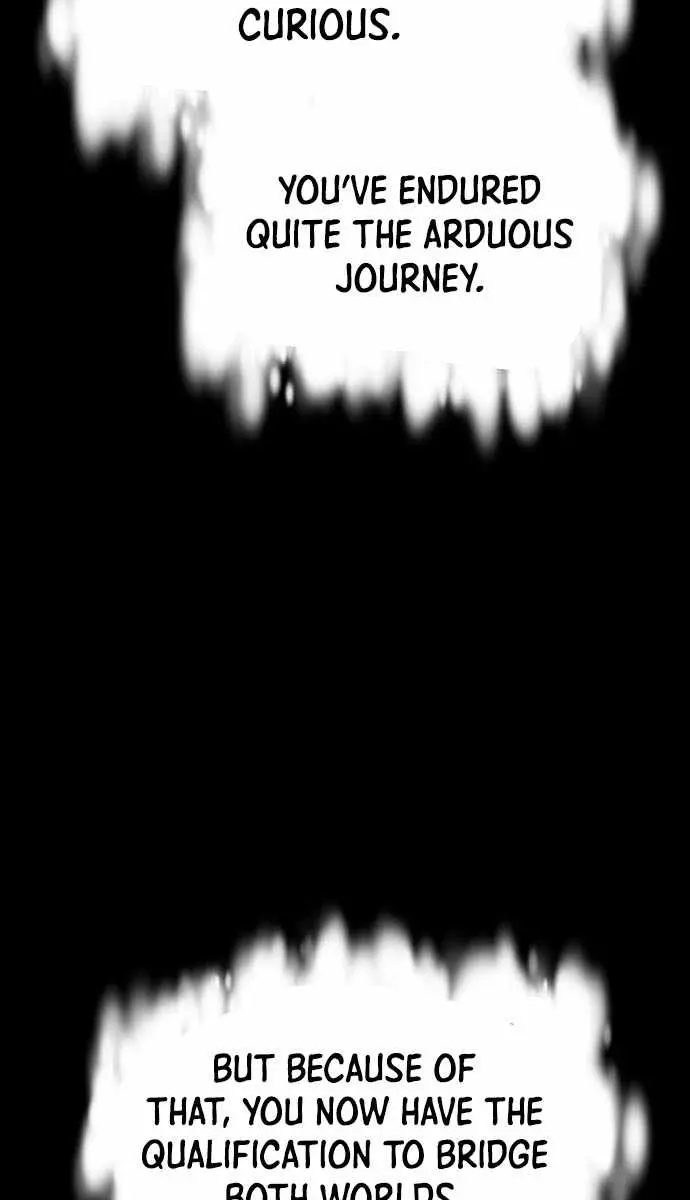 The Lone Necromancer Chapter 203 Page 101