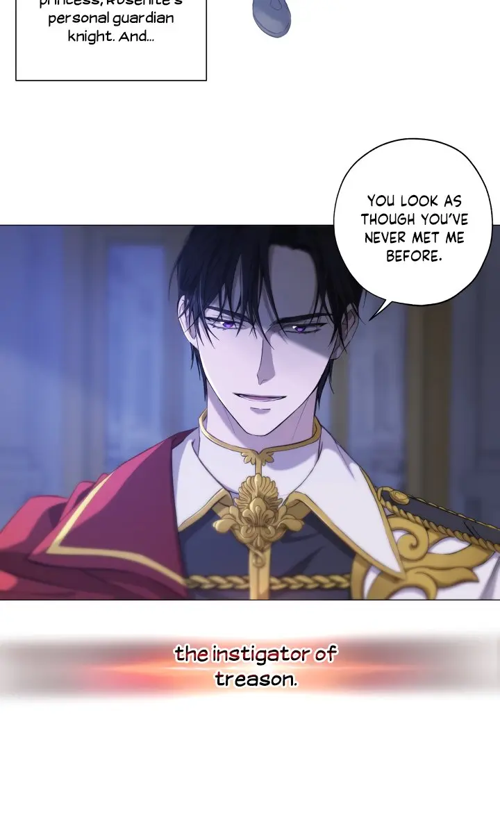The Princess Imprints the Traitor Chapter 1 Page 33