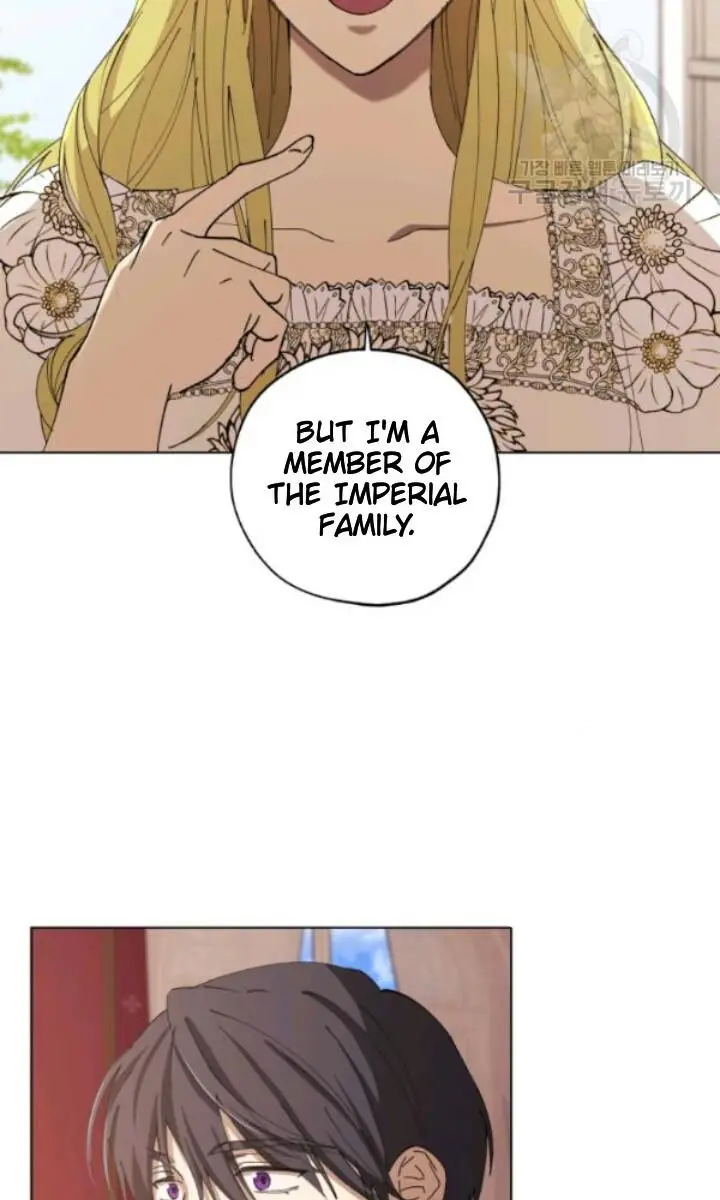 The Princess Imprints the Traitor Chapter 12 Page 13