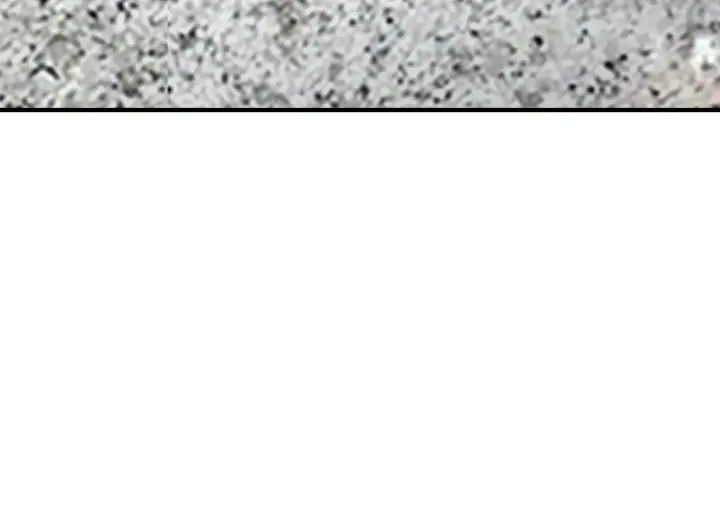 The Queen's Life Was at Stake Chapter 62 Page 43