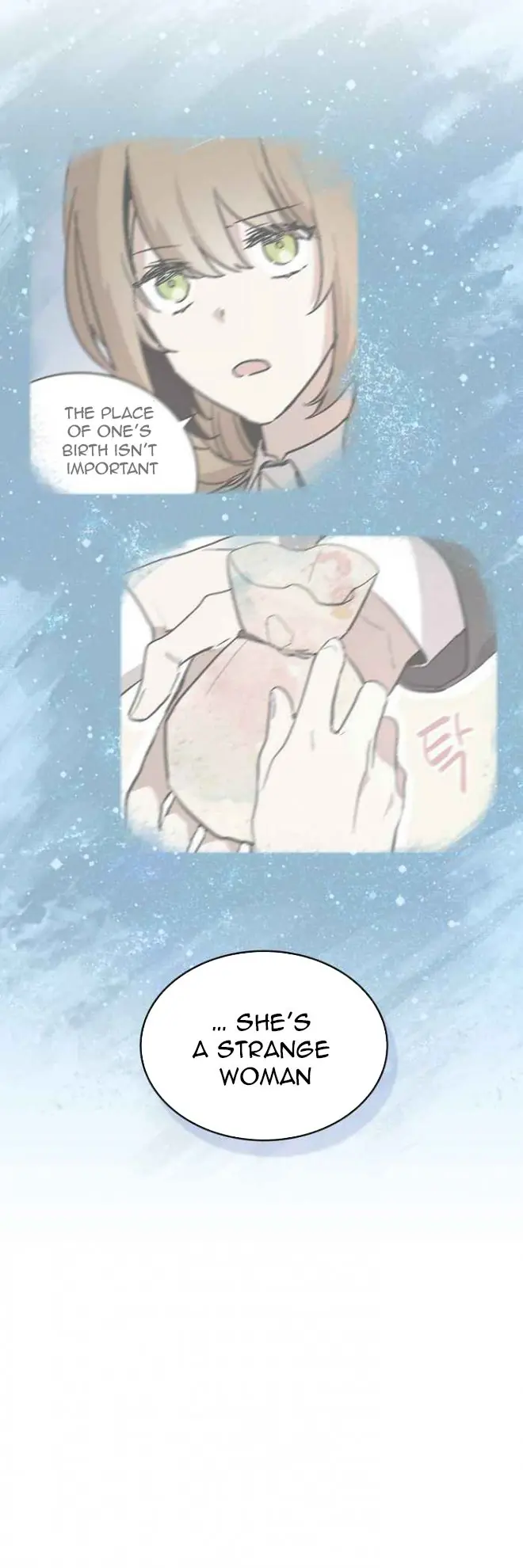 Why Raeliana Ended Up at the Duke's Mansion Chapter 11 Page 27