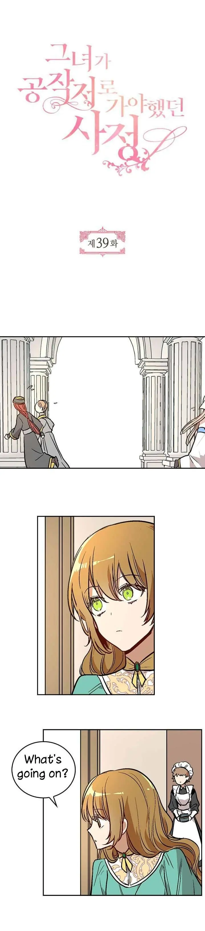 Why Raeliana Ended Up at the Duke's Mansion Chapter 39 Page 5