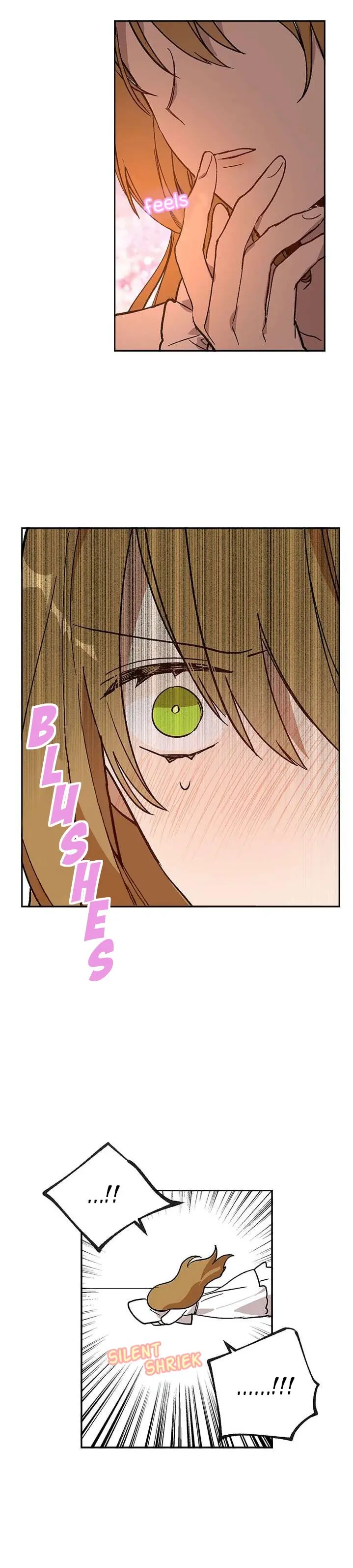 Why Raeliana Ended Up at the Duke's Mansion Chapter 64 Page 10