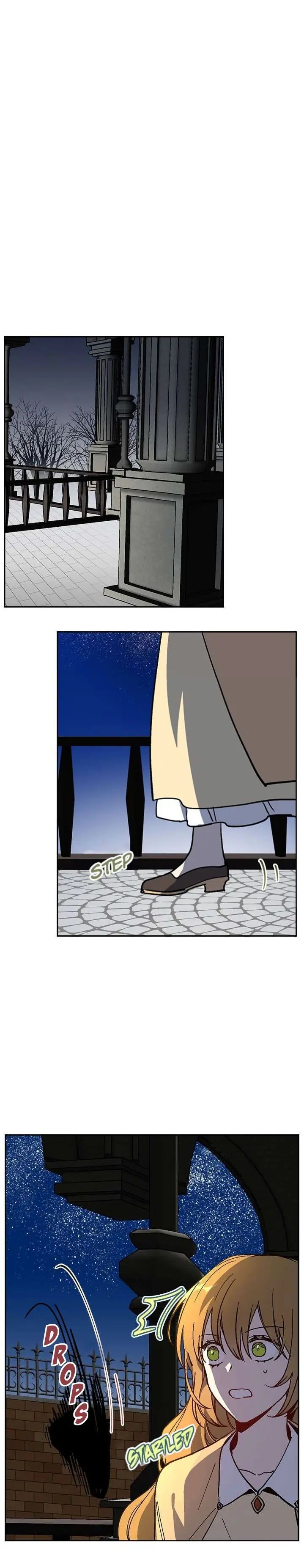Why Raeliana Ended Up at the Duke's Mansion Chapter 64 Page 17