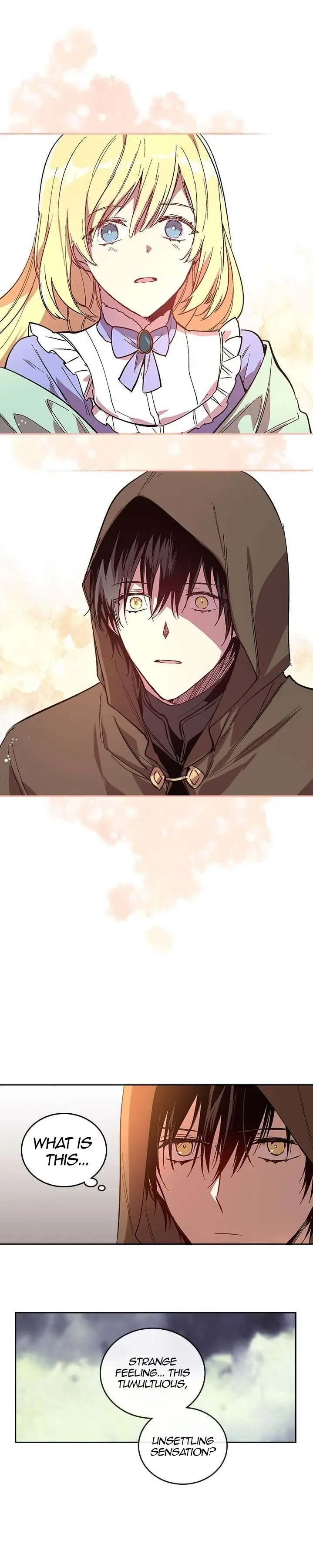 Why Raeliana Ended Up at the Duke's Mansion Chapter 71 Page 11
