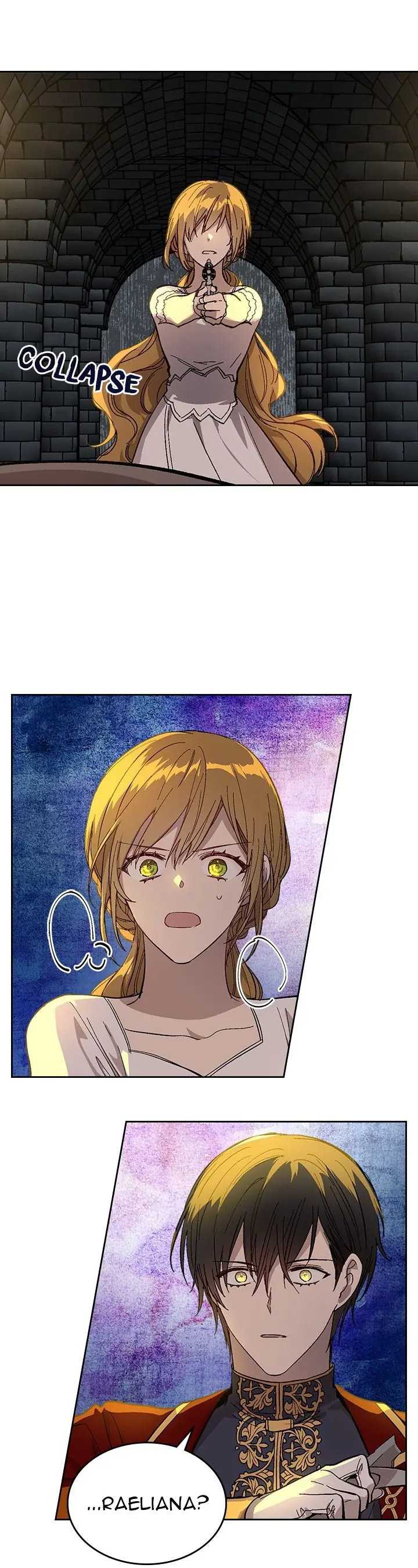 Why Raeliana Ended Up at the Duke's Mansion Chapter 107 Page 15