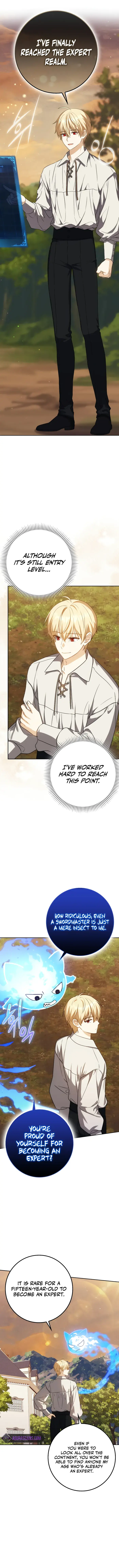 the-reincarnated-assassin-is-a-genius-swordsman Chapter 36 Page 5