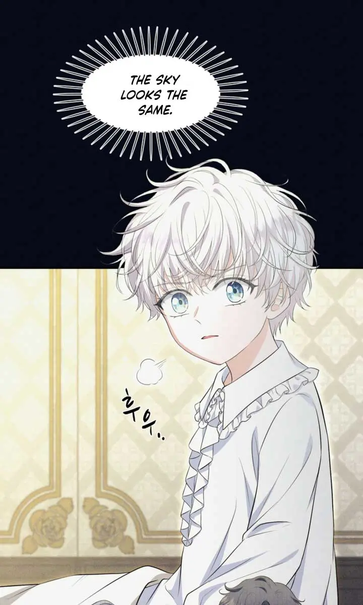 The S-Class Little Princess Is Too Strong Chapter 6 Page 5