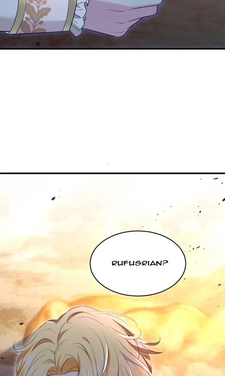 The S-Class Little Princess Is Too Strong Chapter 8 Page 98
