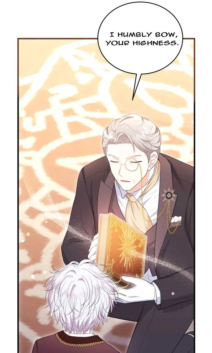 The S-Class Little Princess Is Too Strong Chapter 9 Page 112