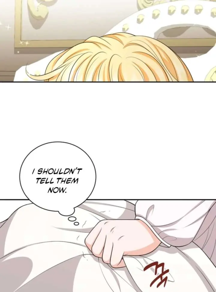 The S-Class Little Princess Is Too Strong Chapter 72 Page 65