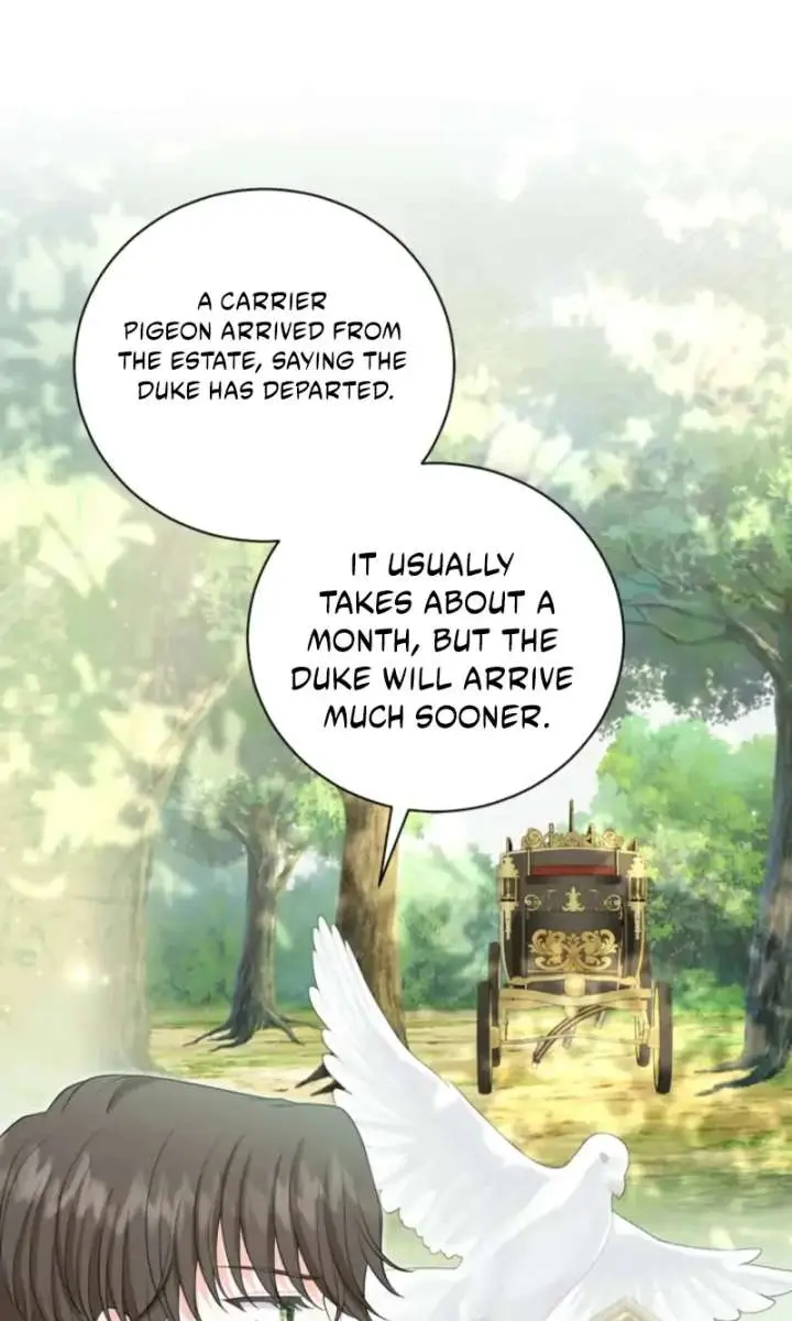 The S-Class Little Princess Is Too Strong Chapter 73 Page 41