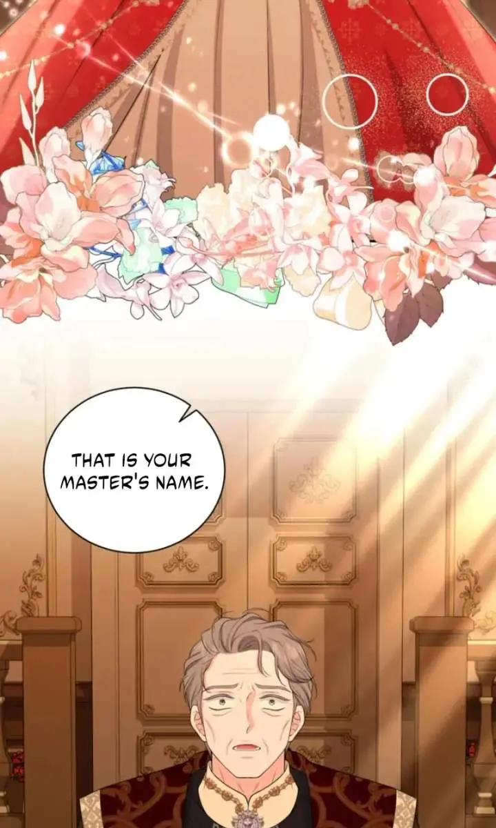 The S-Class Little Princess Is Too Strong Chapter 75 Page 47