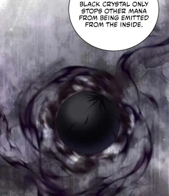 The S-Class Little Princess Is Too Strong Chapter 79 Page 25