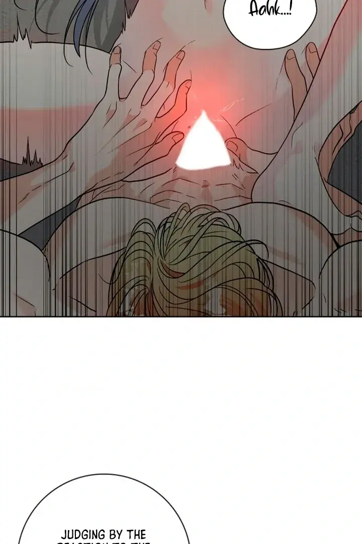 The Saintess's Petals Become Wet Chapter 2 Page 4