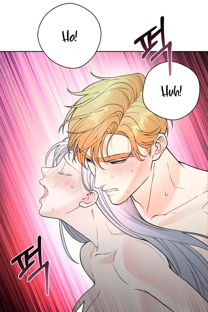 The Saintess's Petals Become Wet Chapter 11 Page 18