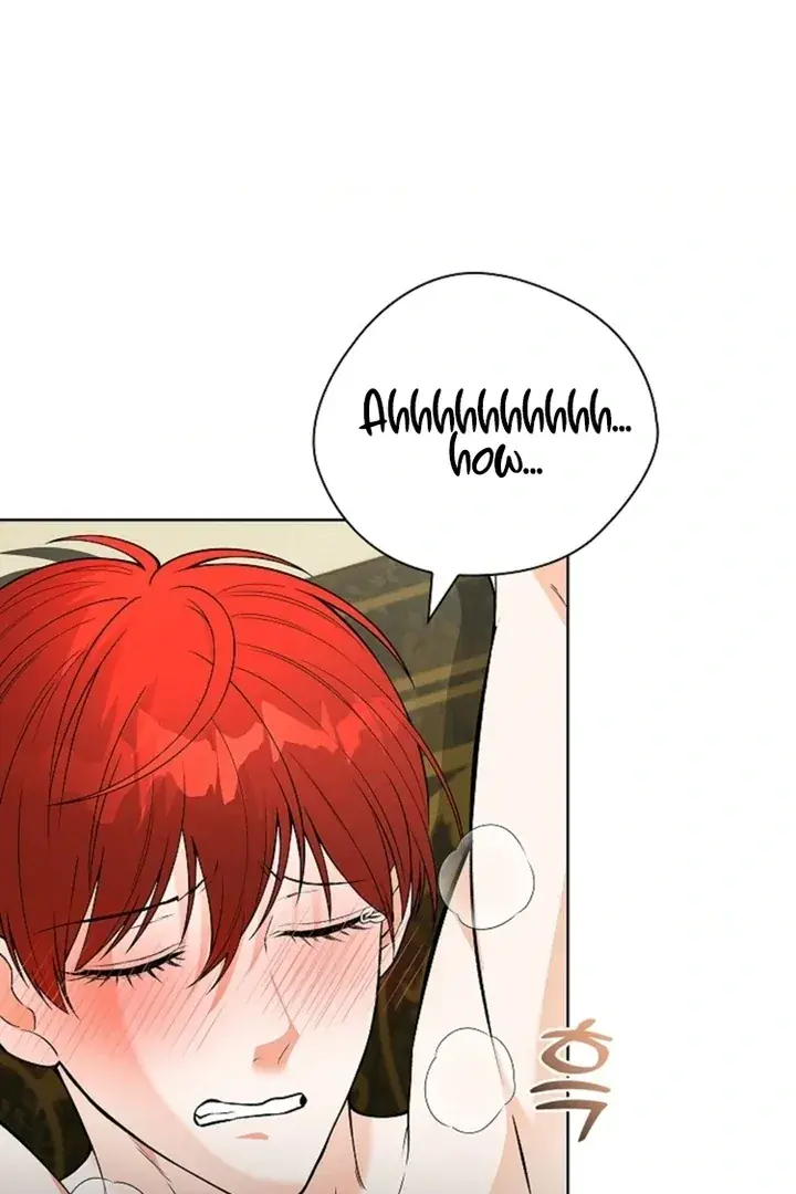 The Saintess's Petals Become Wet Chapter 12 Page 4