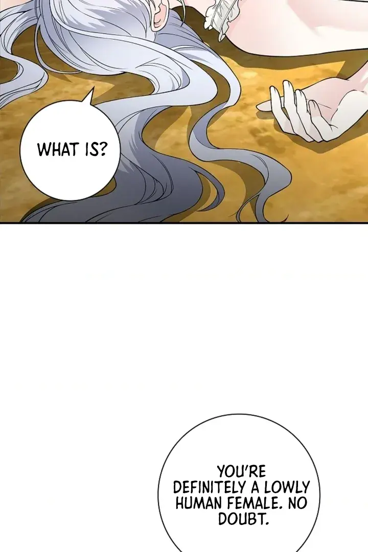 The Saintess's Petals Become Wet Chapter 17 Page 52