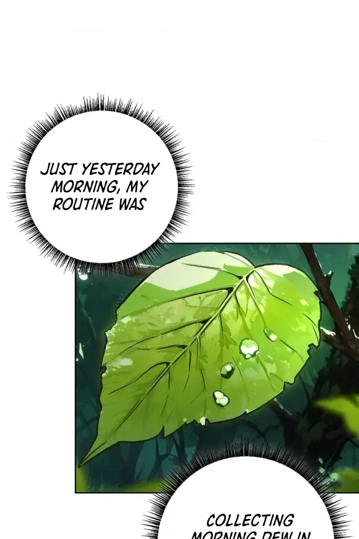 The Saintess's Petals Become Wet Chapter 19 Page 6