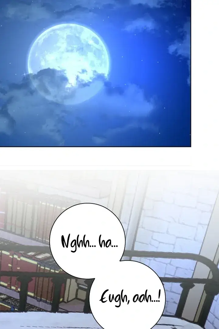 The Saintess's Petals Become Wet Chapter 27 Page 33
