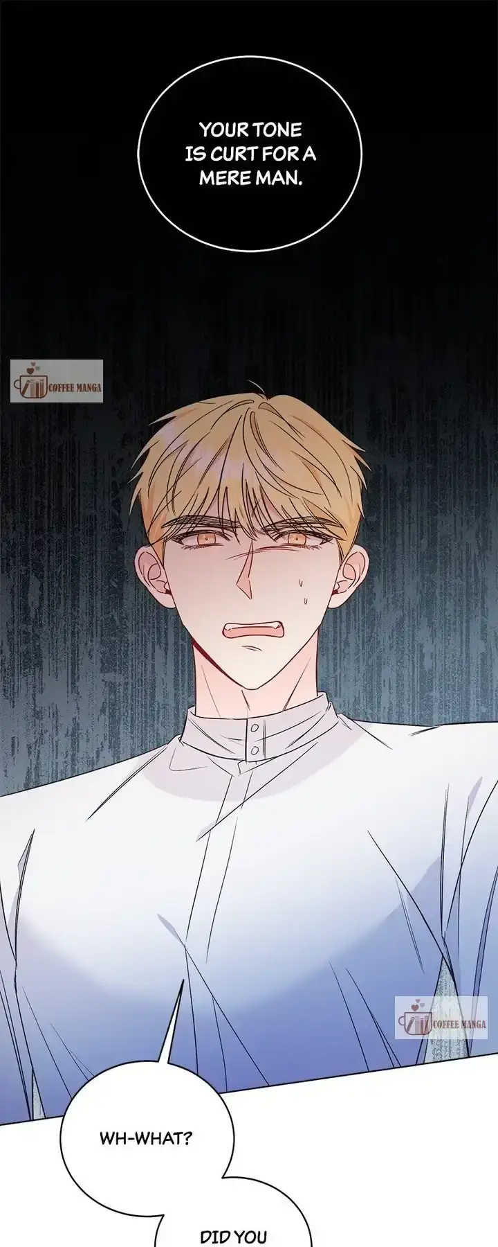 The Second Male Lead Is Actually a Girl Chapter 34 Page 2