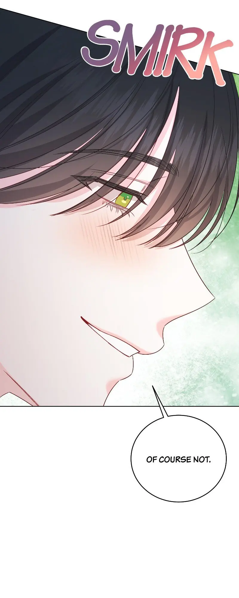 The Second Male Lead Is Actually a Girl Chapter 45 Page 28
