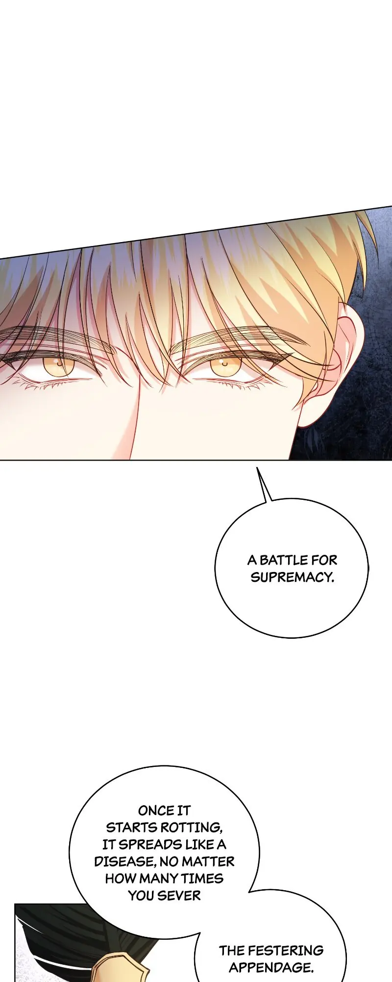 The Second Male Lead Is Actually a Girl Chapter 48 Page 32