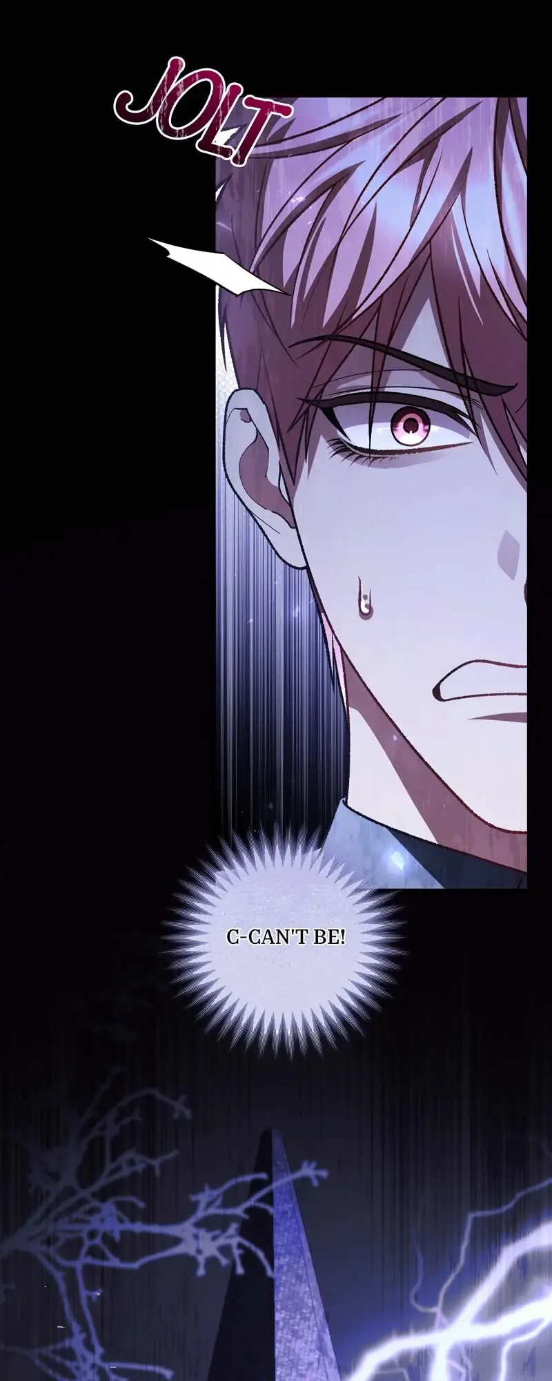 The Second Male Lead Is Actually a Girl Chapter 53 Page 25