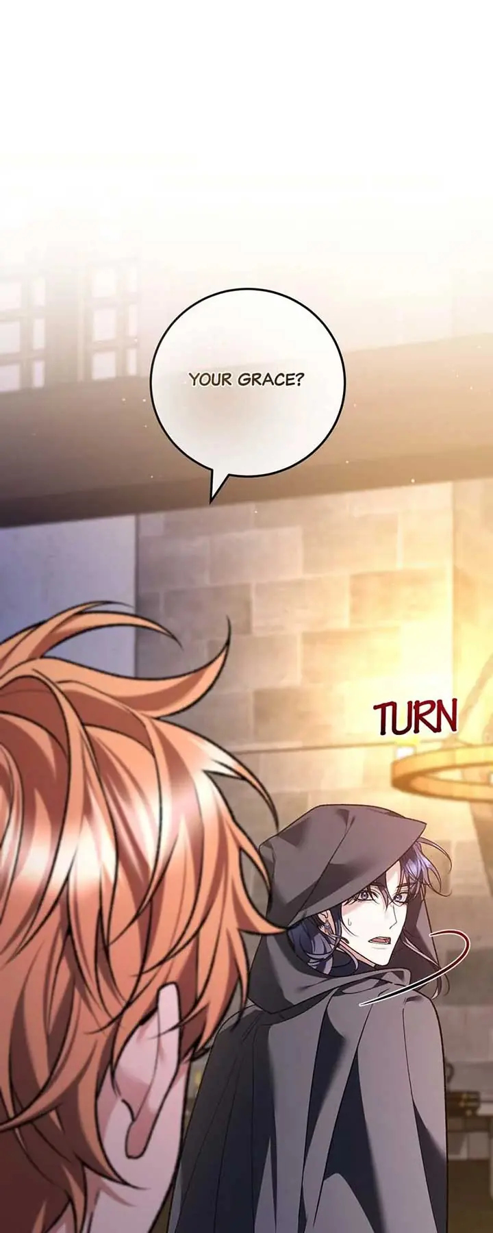 The Second Male Lead Is Actually a Girl Chapter 57 Page 41