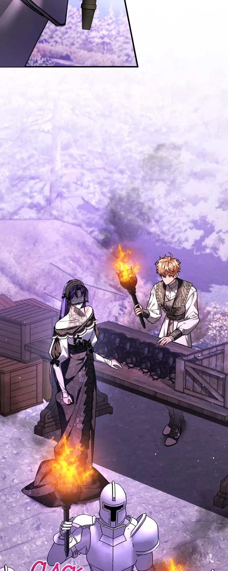 The Second Male Lead Is Actually a Girl Chapter 60 Page 11