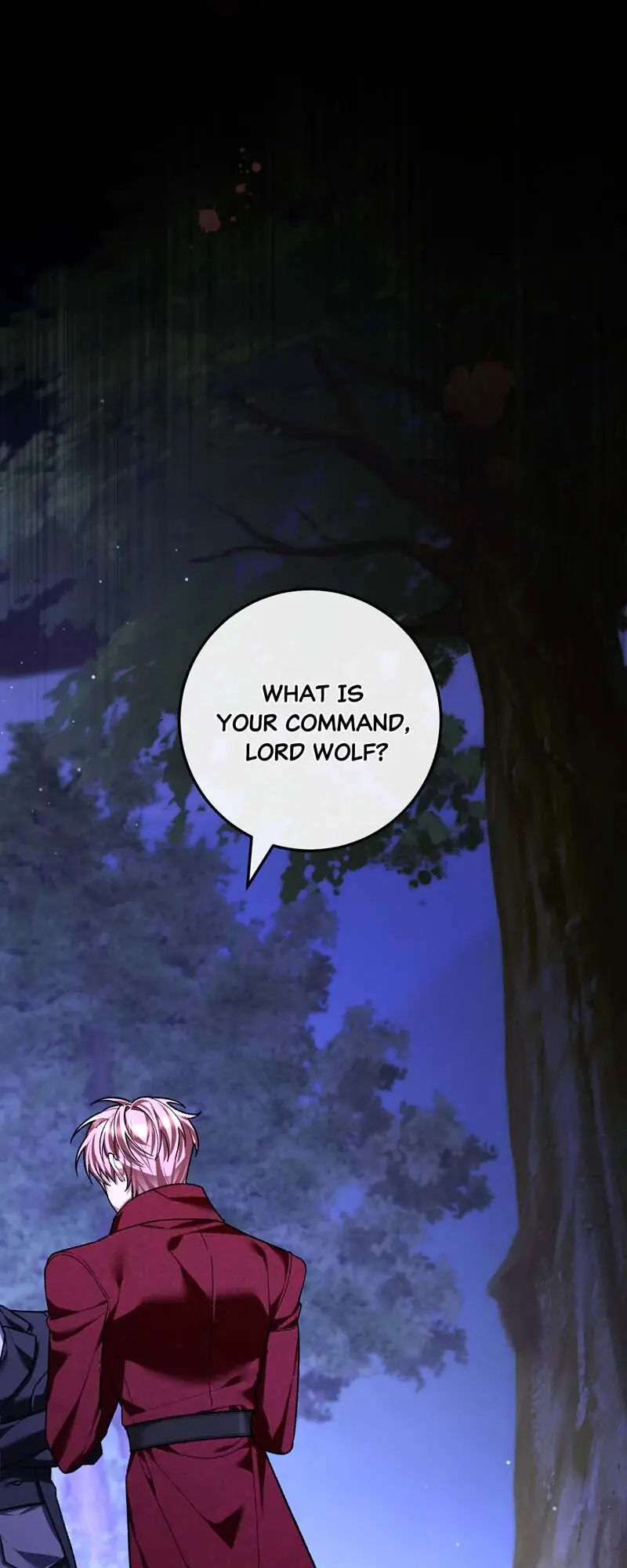 The Second Male Lead Is Actually a Girl Chapter 60 Page 67