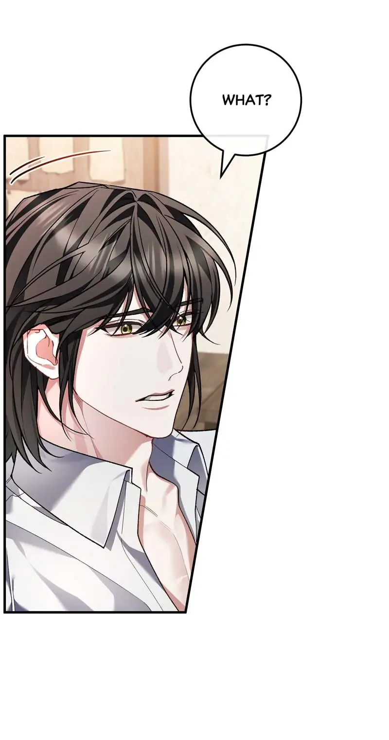 The Second Male Lead Is Actually a Girl Chapter 62 Page 65