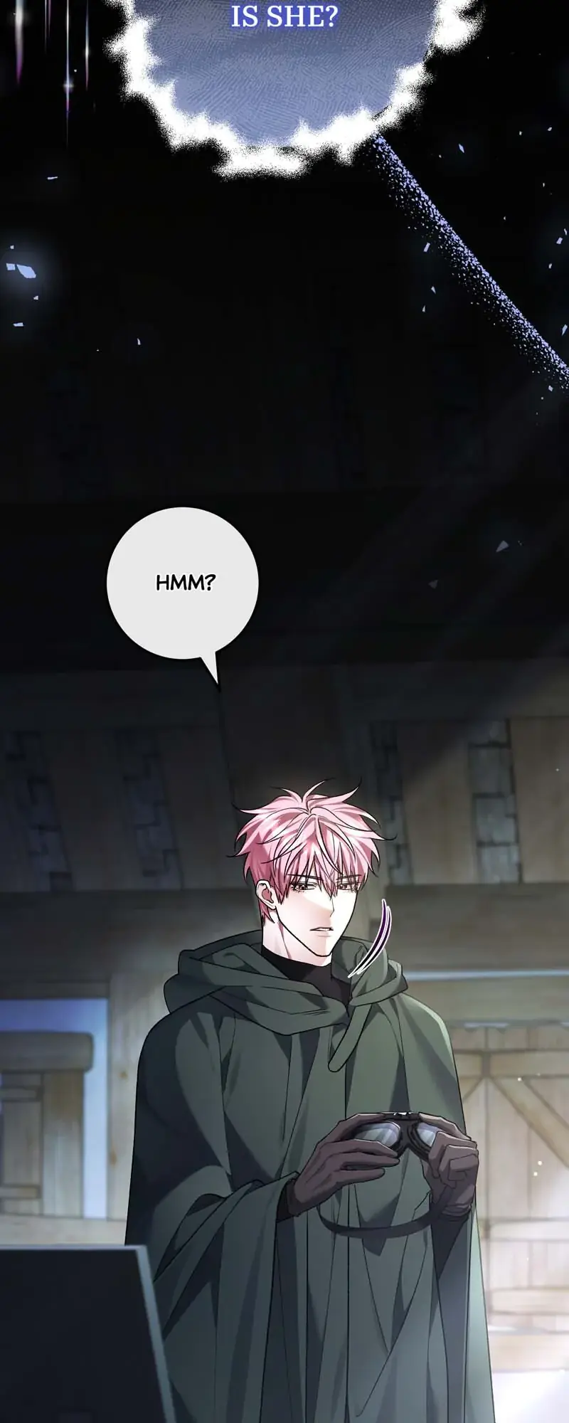 The Second Male Lead Is Actually a Girl Chapter 65 Page 10
