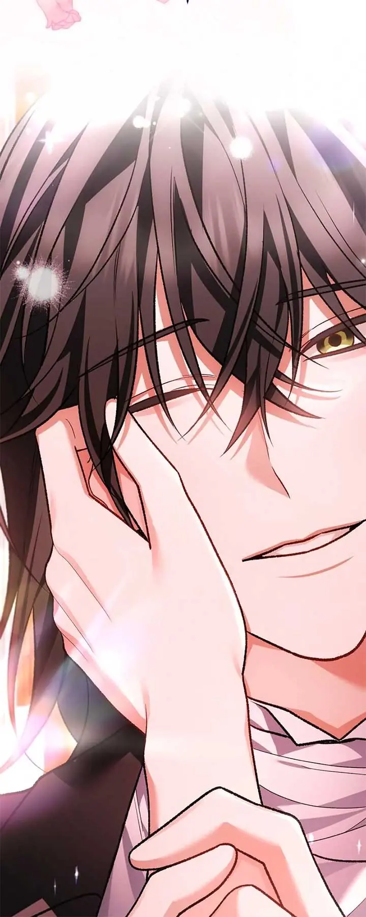 The Second Male Lead Is Actually a Girl Chapter 70 Page 28