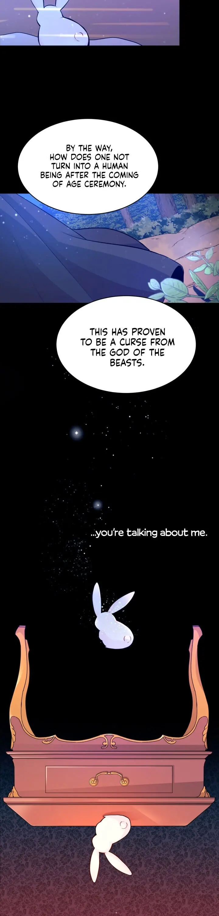 The Symbiotic Relationship Between the Rabbit and the Black Panther Chapter 1 Page 3