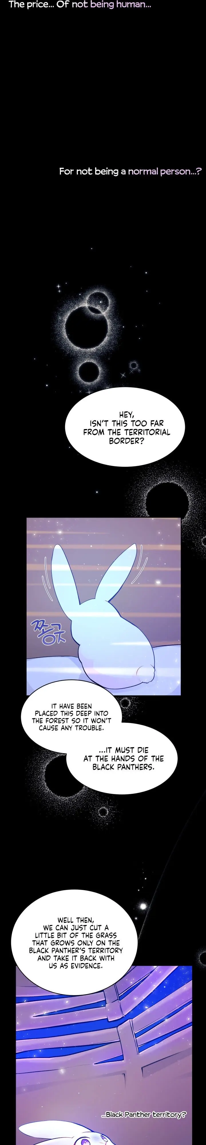 The Symbiotic Relationship Between the Rabbit and the Black Panther Chapter 1 Page 7